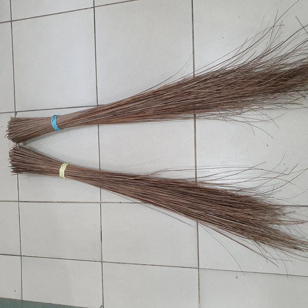 SAPU LIDI TAMAN TANPA GAGANG 