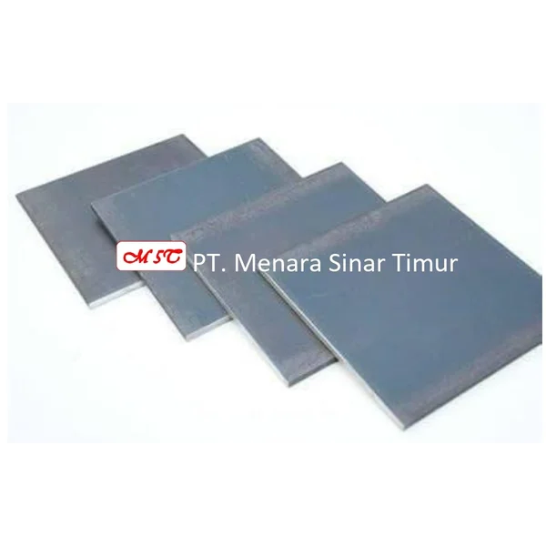 Plat Kapal 5' x 20' x 10mm