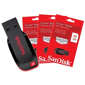 Flashdisk Sandisk Cruzer Blade Usb Kapasitas 32 Gb - In