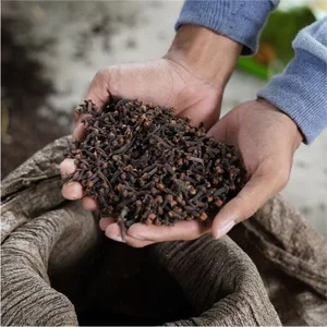 Cengkeh Ab 6 Atau Asalan (Syzygium Aromaticum)