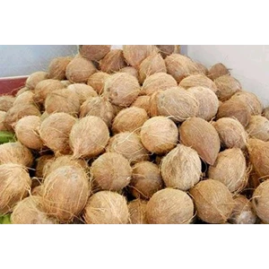 Featured Fresh Peeled Round Coconut
