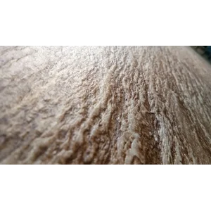 Clayxible Andesit Bromo - M2
