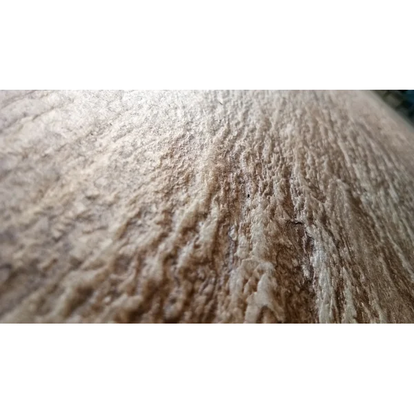 Clayxible Andesit Bromo - M2