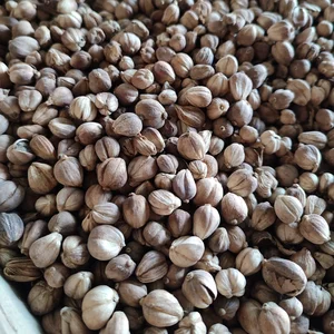 Biji Kapulaga Putih / White Cardamom