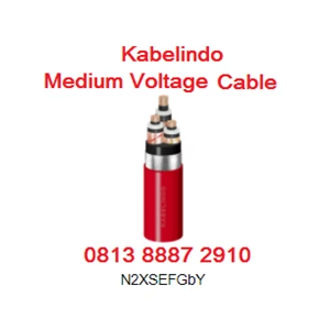 Kabelindo Medium Voltage Cable N2xsefgby