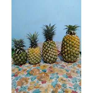 Subang Pineapple Fruit 1 Kg