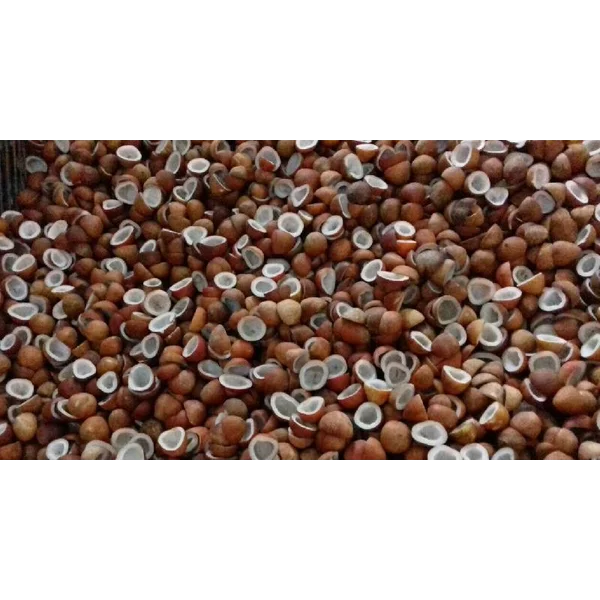 Kelapa Kopra Dried Moisture 7%