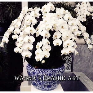 Vas dan Pot Bunga Anggrek Besar