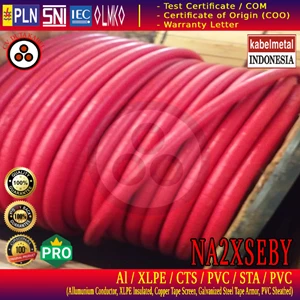 3x95 mm2 Al/XLPE/CTS/PVC/STA/PVC 12/20 (24)kV Cable