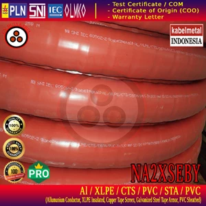 3x300 mm2 Al/XLPE/CTS/PVC/STA/PVC 12/20 (24)kV Cable