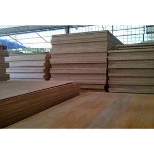 Triplek / Multiplek / Plywood 122x244cm Triplek ALBA / SENGON - 12mm