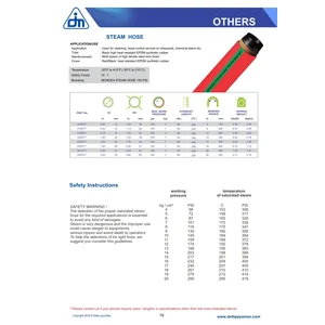 Mondea Steam Hose