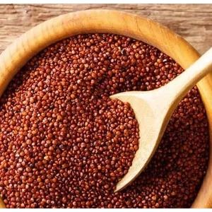 Quinoa Merah Organik 25 Kg / Makanan Kesehatan