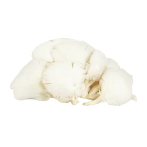 Fresh Vegetables Indonesian Sufarm Oyster Mushroom