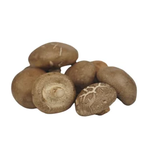Fresh Vegetables Indonesian Sufarm Shiitake Mushroom