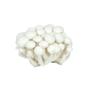 Fresh Vegetables Indonesian Sufarm White Shimeji Mushroom