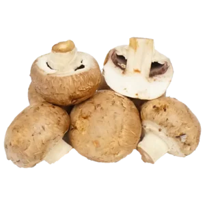 Fresh Vegetables Indonesian Sufarm Swiss Brown Mushroom