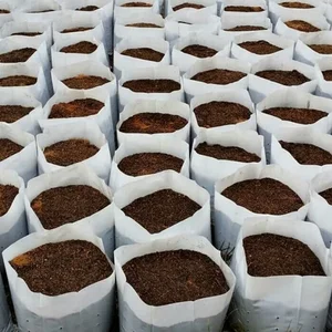 PLASTIK POLYBAG PUTIH UNTUK TANAMAN PERTANIAN