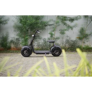 Nuenco Citycoco Mino Single Seat