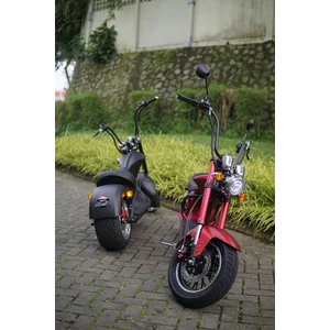 Nuenco Citycoco Chopper M1  2000 Watt 20 Ah