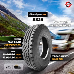 Ban Truk Bontyre Bs28 10.00R20 | 12.00R24
