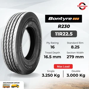 Ban Bus / Truk Bontyre R230 11R22.5 16Pr