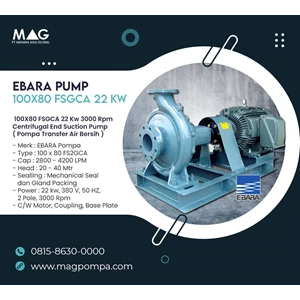 Ebara Centrifugal Pump 100 X 80 Fsgca