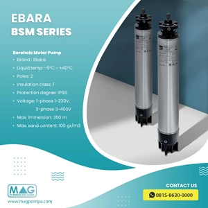 Motor Pompa Submersible EBARA BSM Series