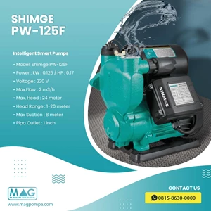 Booster Pump for Hot Water - Shimge PW-125F