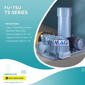 FUTSU TS Series Vacuum Pump - Industrial Pump