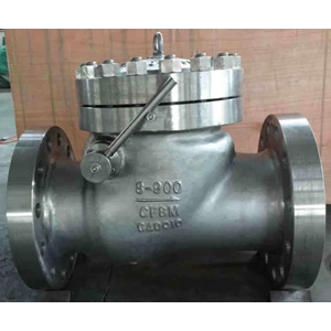 Check Valve Stainless Steel A351 CF8