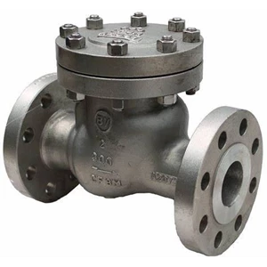 Check Valve Stainless Steel A351 CF8M