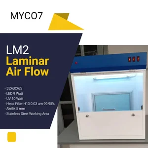 Laminar Air Flow Type LM2