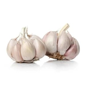 White Onion Weight 1 Kg