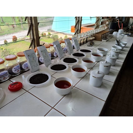 From Tea Bag Indonesian Black Tea Retail 2