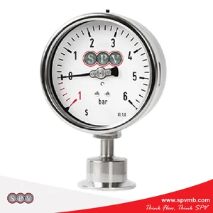 Hygienic / Sanitary Pressure Transmitter Vertical Mounting