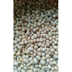 Kacang Kedelai import kualitas bagus