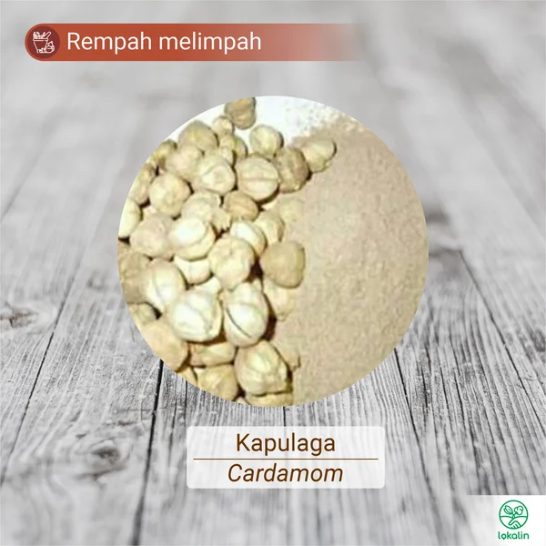 biji kapulaga segar kering bubuk
