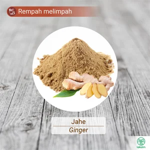 Rempah jahe segar kering bubuk