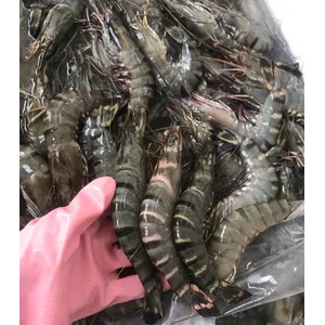 Udang Windu Tiger Segar Jumbo