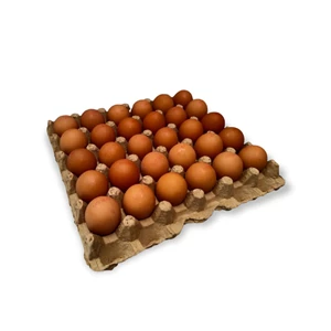 Telur Ayam Negeri Omega 3