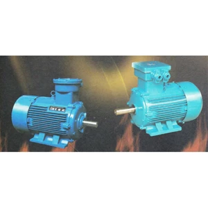 ELECTRIC MOTOR EXPLOSION PROOF