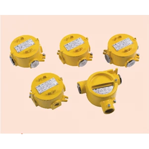 BHD51SERIES EXPLOSION PROOF JUCTION BOXES 
