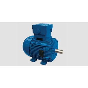 Explosion Proof Electric Motor Cast Iron Frame 50Hz Improved Efficiency EFF2
