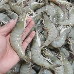 Vanamei/Vename Shrimp (Min. Purchase 500 kg)