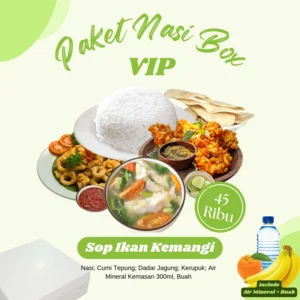 Paket Nasi Box VIP (CV.YPM)