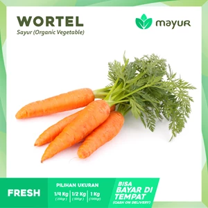 Carrot ( Fresh Vegetables/ Fresh)