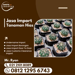 Jasa Import Tanaman Hias Kaktus
