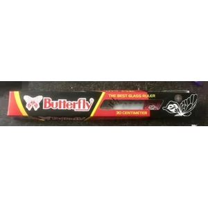 Penggaris Plastik 30 cm ButterFLy