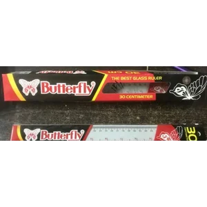 Penggaris Plastik 30 cm ButterFLy